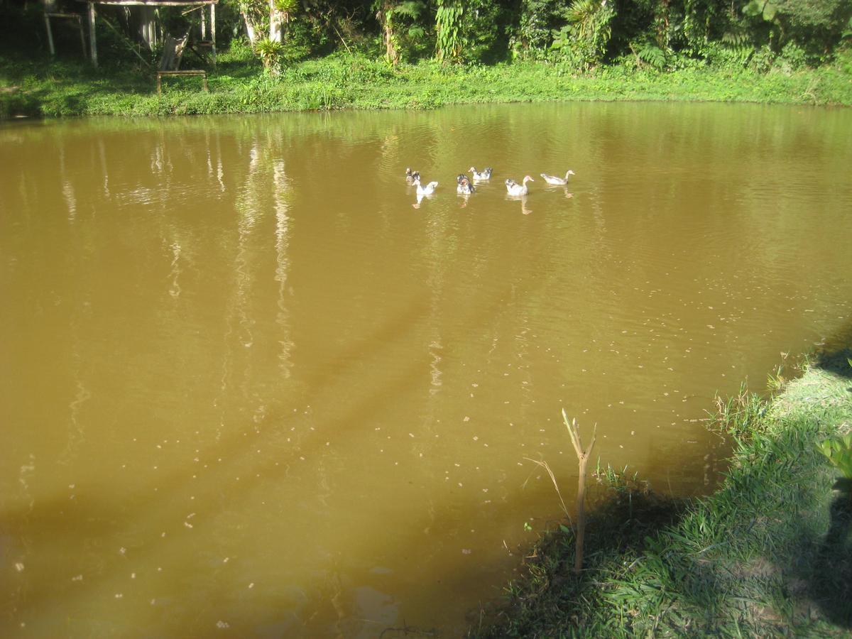 Pousada Recanto Dos Pinheiros Pilar do Sul Exterior photo